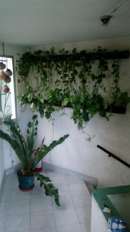 Hotel Y Hostal Casa Risueno Campeche Room photo